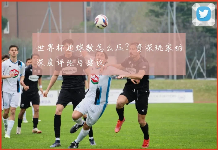 世界杯进球数怎么压？资深玩家的深度评论与建议