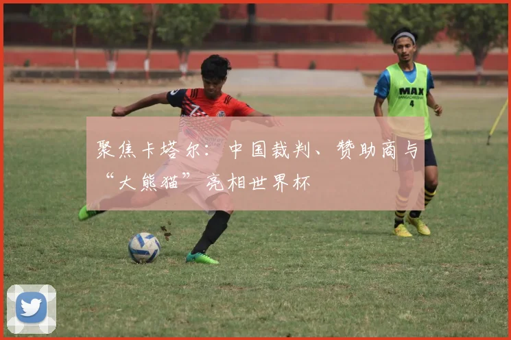聚焦卡塔尔：中国裁判、赞助商与“大熊猫”亮相世界杯